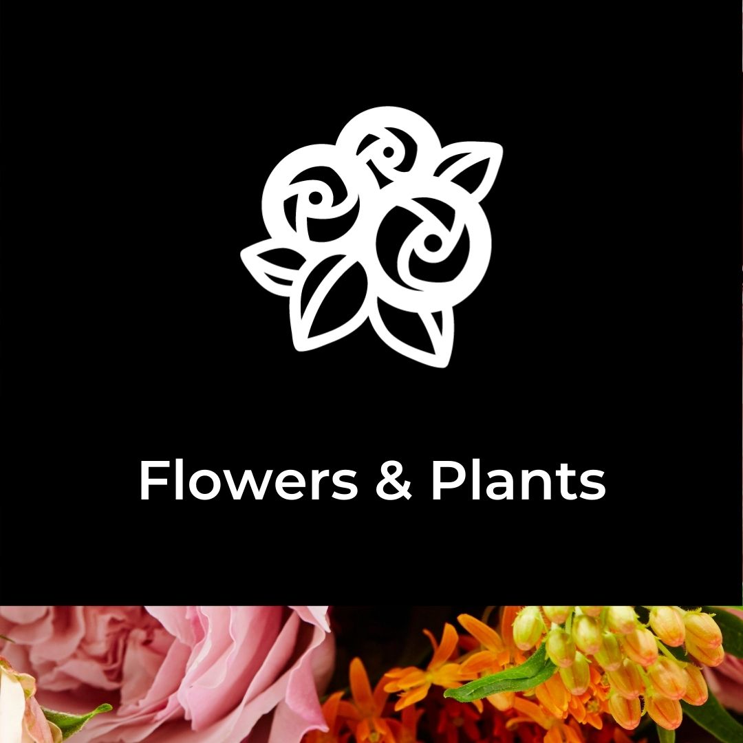 
    Flowers &amp; Plants
  