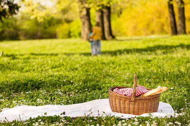 Picnic Hamper 2/3 P