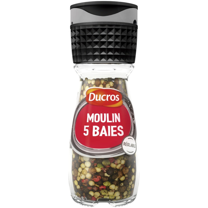 Ducros Moulin 5 Baies 26gr