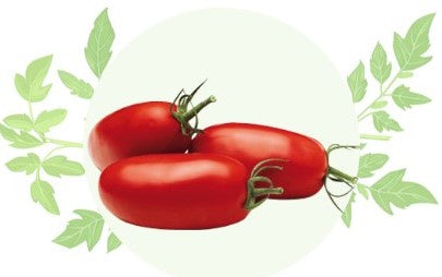 Tomate Ronde ou Roma au Kg (53)