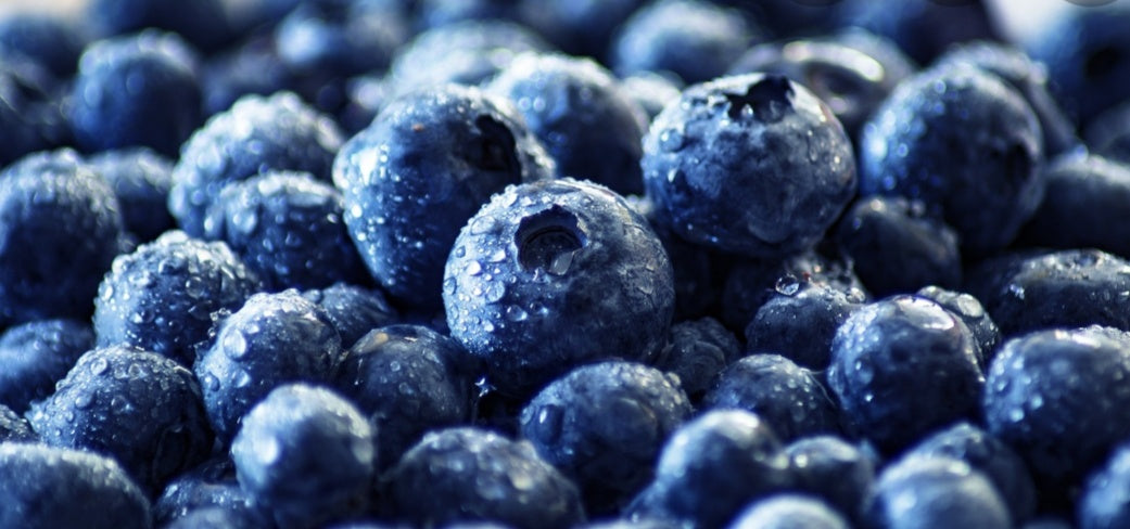 Myrtilles Sauvages 1kg