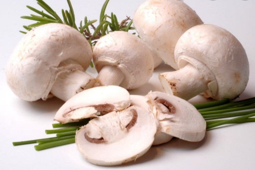 Champignons Eminces Hotel 2.5kg