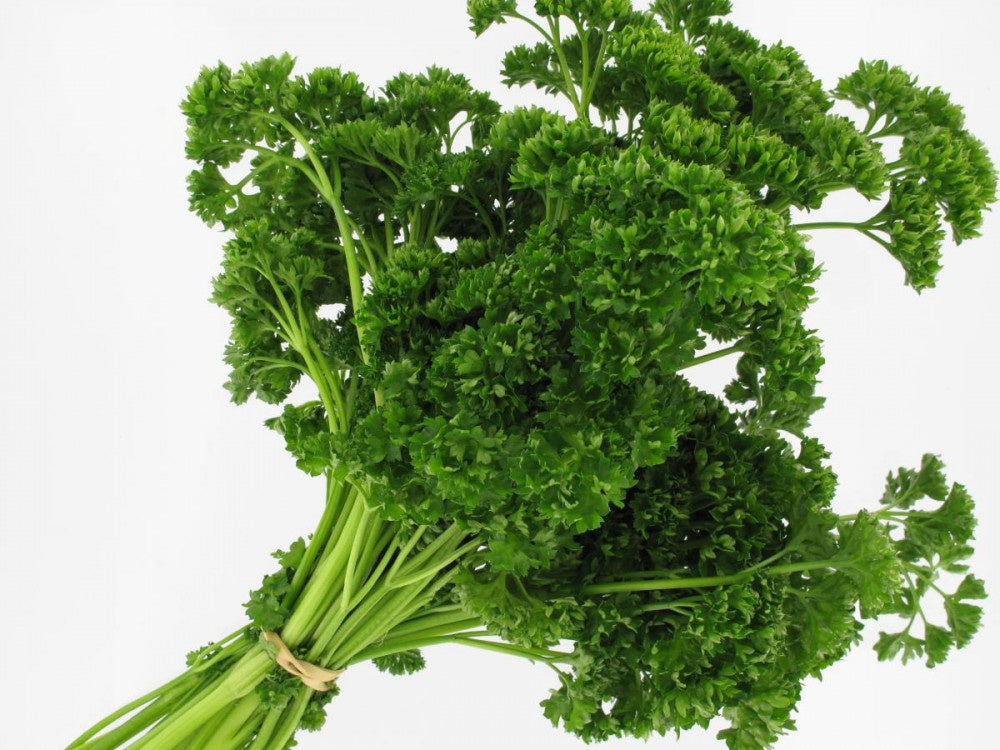 Persil Botte Frisé ou Plat