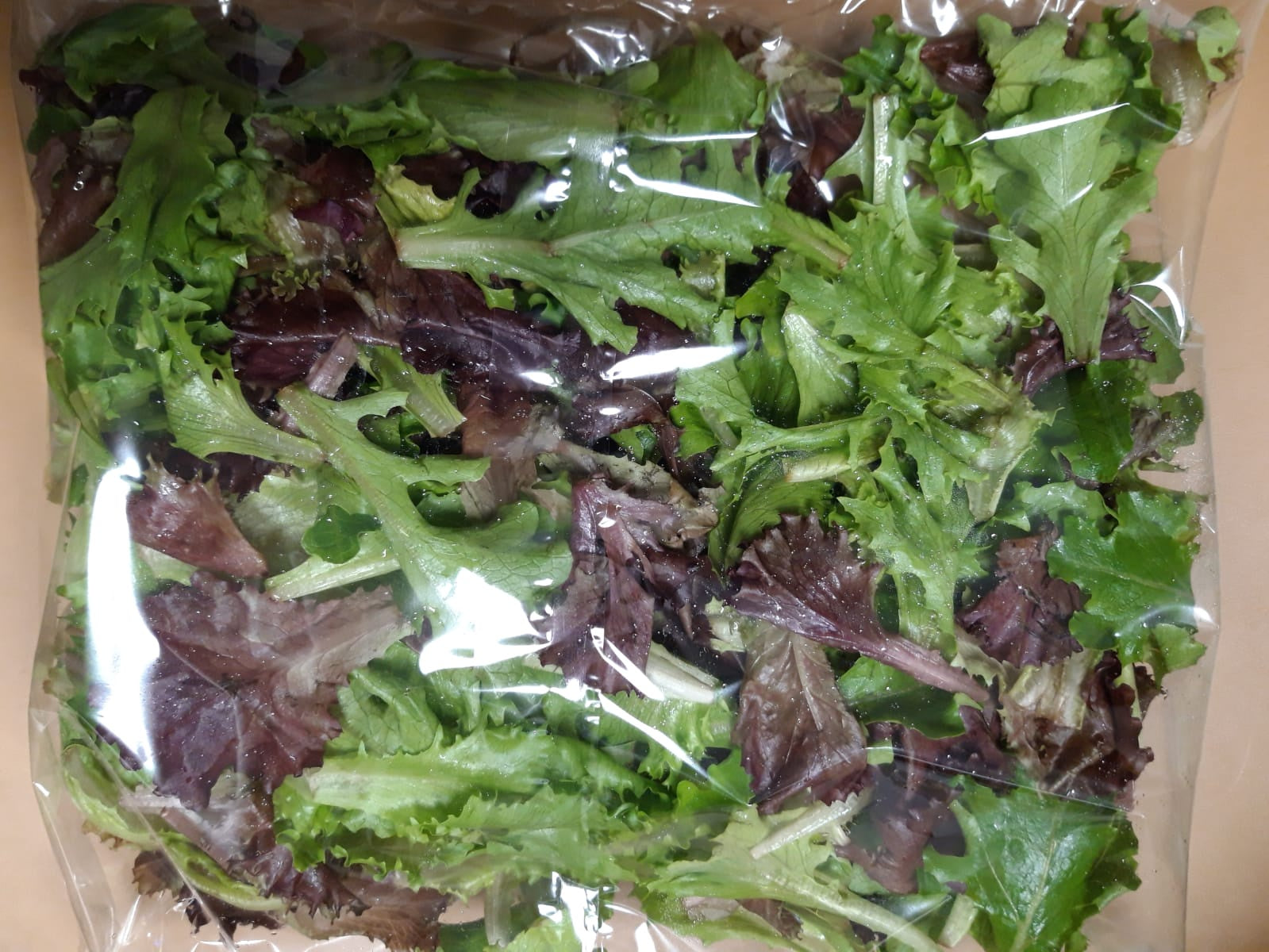 Sachet  Salades Jeunes Pousses 250gr